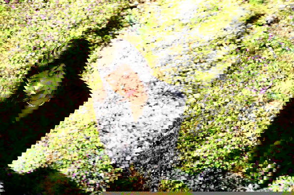 vvvierness vvvierness archive image