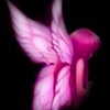 haileylayfield Altpins Profile Picture