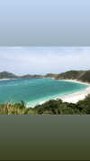 maori_cohen Altpins Profile Picture