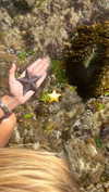 elizabethcampbelljones Altpins Profile Picture