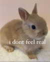 evasela__ Altpins Profile Picture