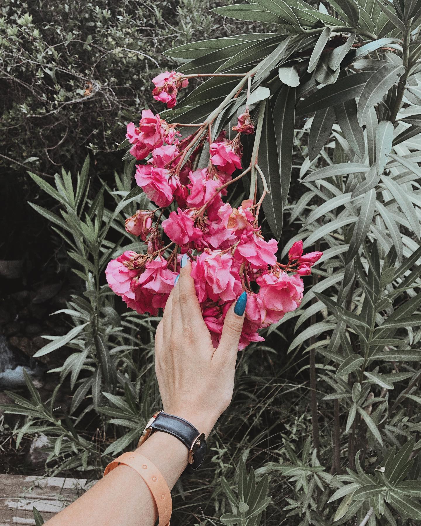 kkulakovaa instagram image archive image