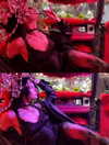 vasian_life Altpins Profile Picture