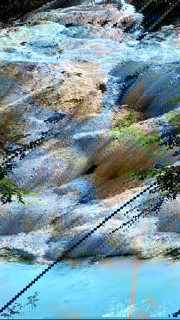 taylor.creeden taylor.creeden archive image