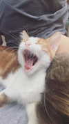 evasela__ Altpins Profile Picture