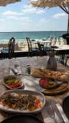 lishai_halevi Altpins Profile Picture