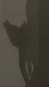meiiisame Altpins Profile Picture