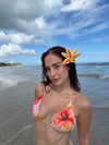 nicollefigueroaa Altpins Profile Picture