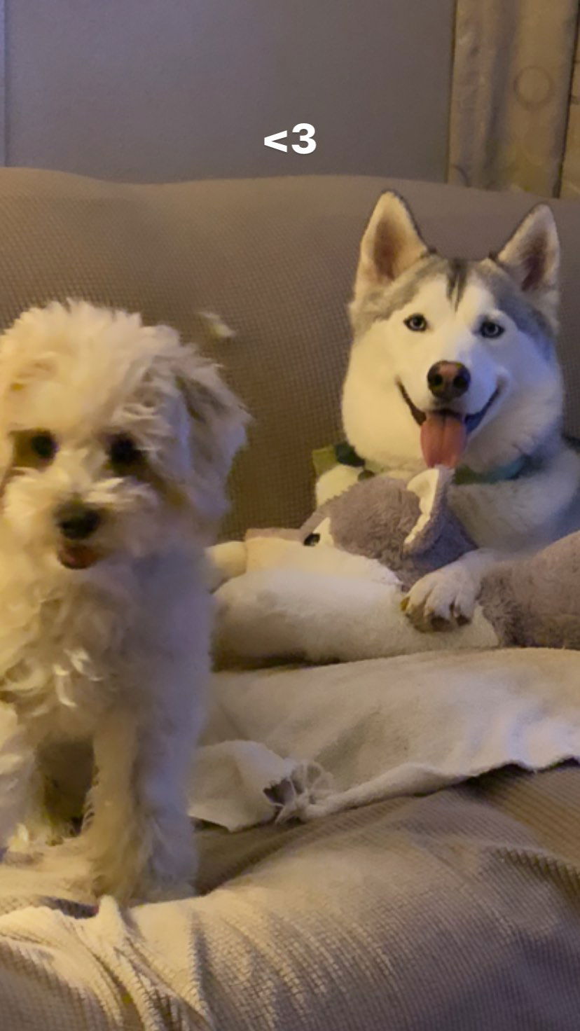 dracuina instagram image archive image