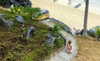 amit._.bar Altpins Profile Picture