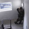 haileylayfield Altpins Profile Picture