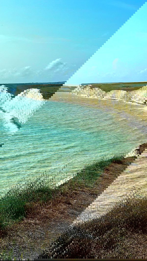 taylor.creeden taylor.creeden archive image