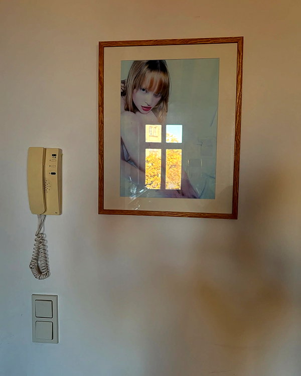 ninastodden instagram image archive image