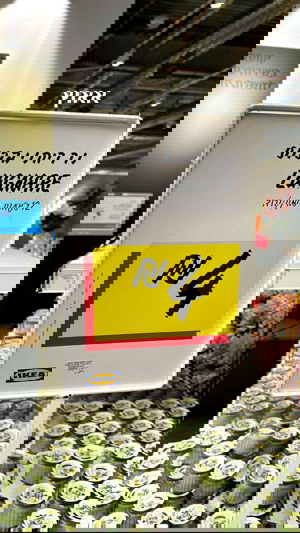 tuliprivet tuliprivet archive image