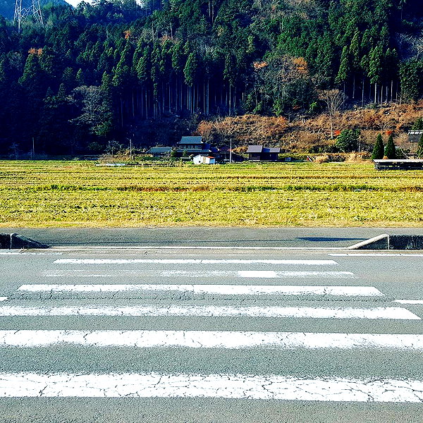 muze instagram image archive image