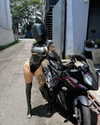 bigcatmia_dream Altpins Profile Picture