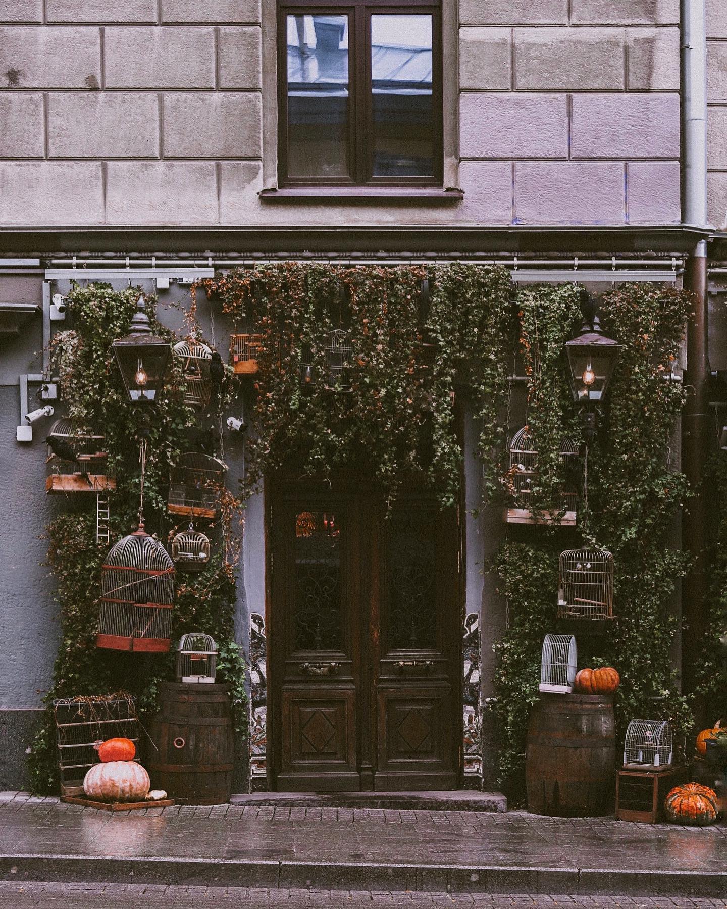 kkulakovaa instagram image archive image