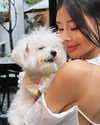 ll.lu1s Altpins Profile Picture