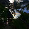 gigihadid Altpins Profile Picture