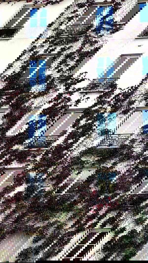 taylor.creeden taylor.creeden archive image