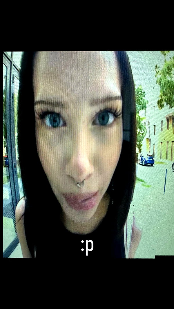 borkwsmh instagram image archive image