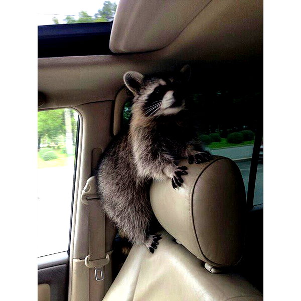 sychevskaya instagram image archive image