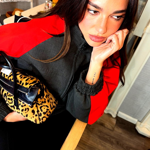 dualipa instagram image archive image