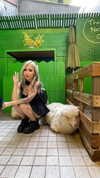 dearestsinner Altpins Profile Picture