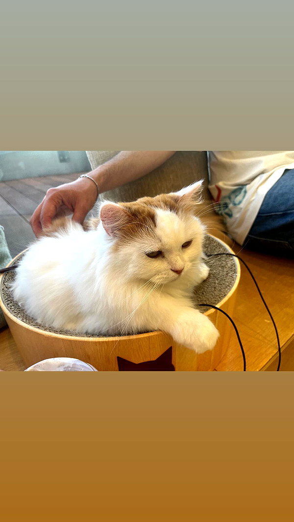 Archived image from @notchicore on Instagram