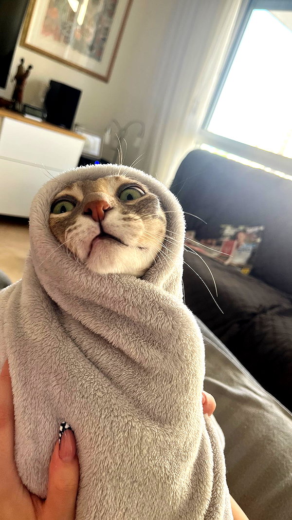 Archived image from @notchicore on Instagram
