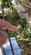 dante_yangpa Altpins Profile Picture