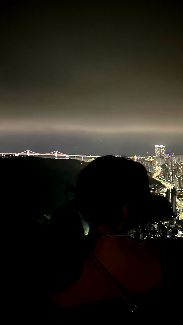 elsgatti elsgatti archive image
