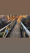 elizabethcampbelljones Altpins Profile Picture