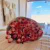 michalcohen___ Altpins Profile Picture
