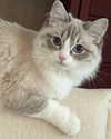 catl0verr69 Altpins Profile Picture