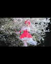 xier_cos Altpins Profile Picture