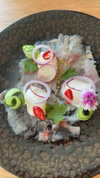 sonia_litvanchuk Altpins Profile Picture