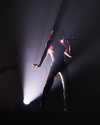 xtina Altpins Profile Picture