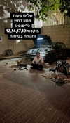 eitan.420 Altpins Profile Picture