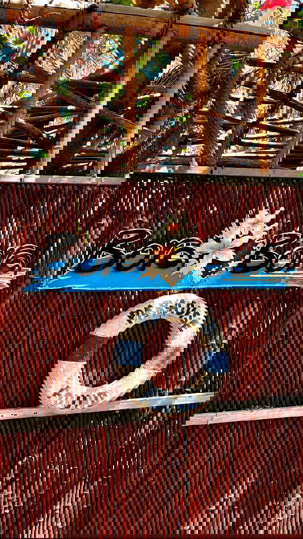 noammalka___ noammalka___ archive image