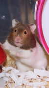 jiw_____n Altpins Profile Picture