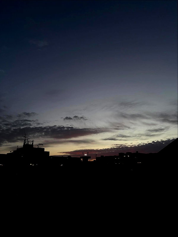 rei.sigalov instagram image archive image