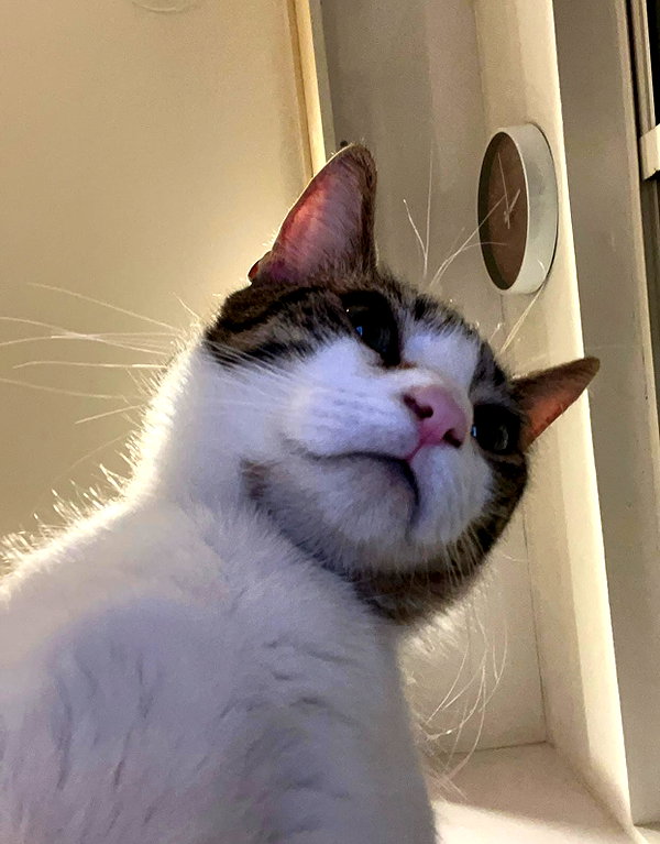 peachtoot.plz instagram image archive image