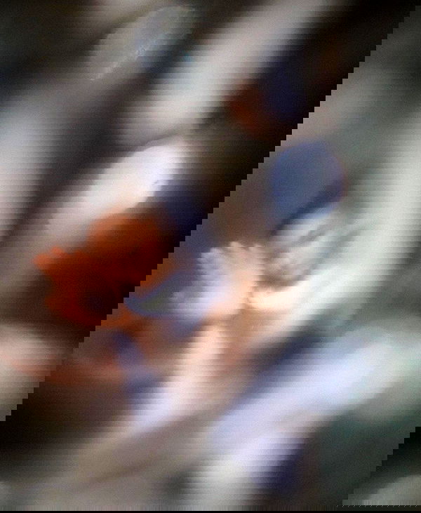 kkulakovaa image ~ Altpins