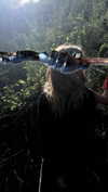 m1ry2m_ Altpins Profile Picture