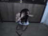 hellokittyangel666 Altpins Profile Picture