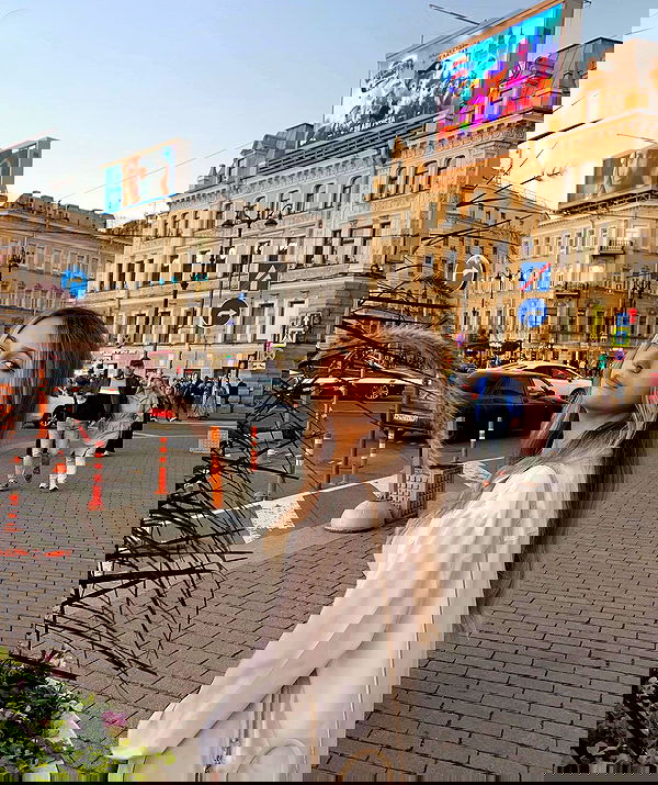 pinx_ir pinx_ir archive image