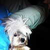 ashleybenson Altpins Profile Picture