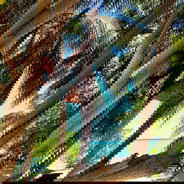 kkulakovaa image ~ Altpins