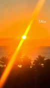 elizabethcampbelljones Altpins Profile Picture